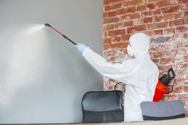 Best Post-Construction Mold Inspection  in Amity, OR