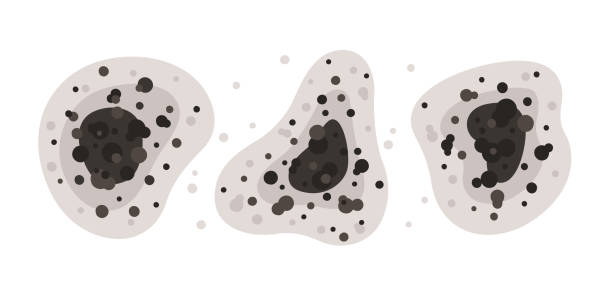 Best Mold-Related Health Consultation  in Amity, OR