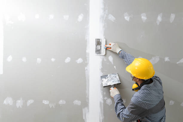 Best Mold Remediation for Healthcare Facilities  in Amity, OR