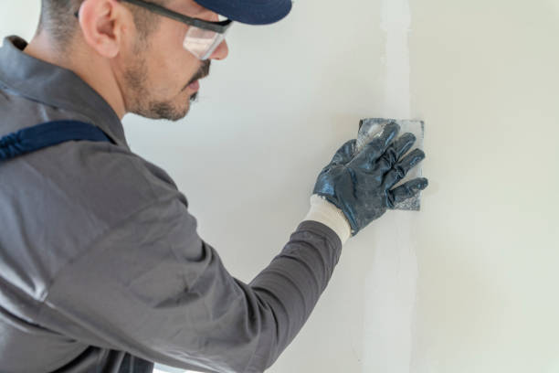 Best Attic Mold Removal  in Amity, OR