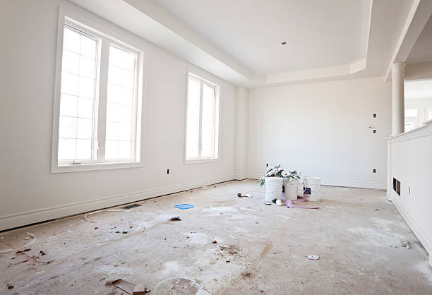 Best Black Mold Removal  in Amity, OR