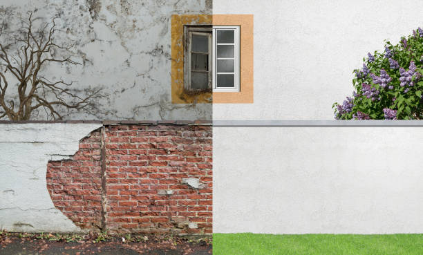 Trusted Amity, OR Mold Removal Experts