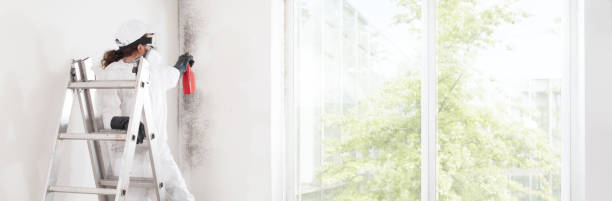 Best Indoor Air Quality Assessment  in Amity, OR