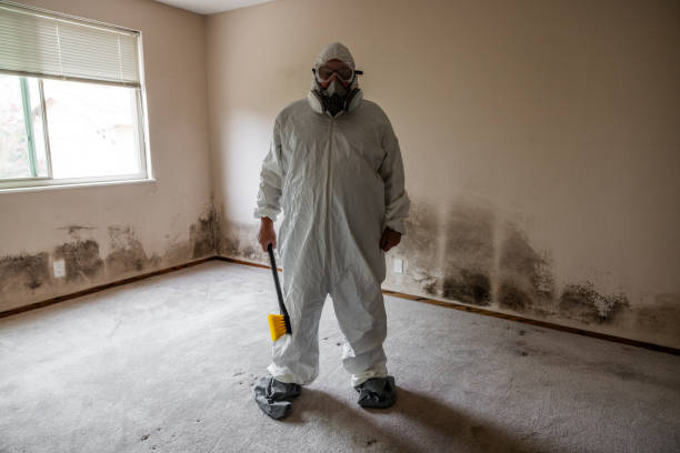 Biohazard Mold Removal in Amity, OR